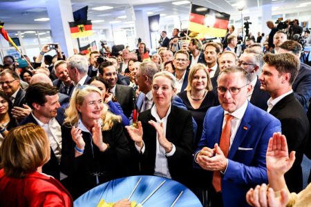 Alternative for Deutschland Takes Second Place in EP Elections
