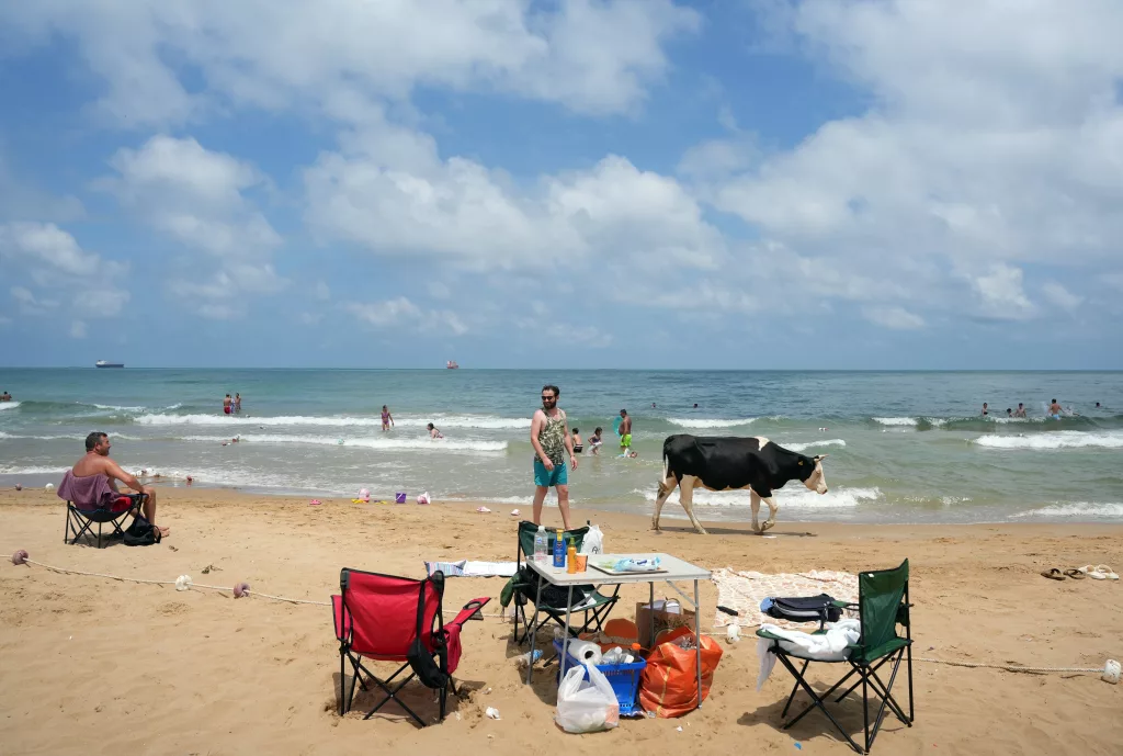 HALK PLAJLARI DOLDU, 'BEACH'LERDE ŞEZLONGLAR BOŞ KALDI GİRİŞ ÜCRETLERİYLE GÜNDEME GELEN ÖZEL PLAJLARA İLGİ AZALDI SICAĞIN BUNALTTIĞI İNEKLER SAHİLE AKIN ETTİ