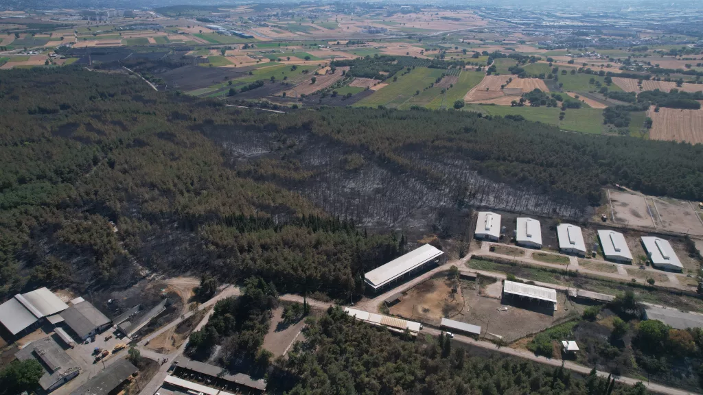 ULUDAĞ ÜNİVERSİTESİ'NDEKİ YANGININ HASARI ORTAYA ÇIKTI: 897 DEKAR ORMAN VE BİÇİLMİŞ ALAN KÜLE DÖNDÜ