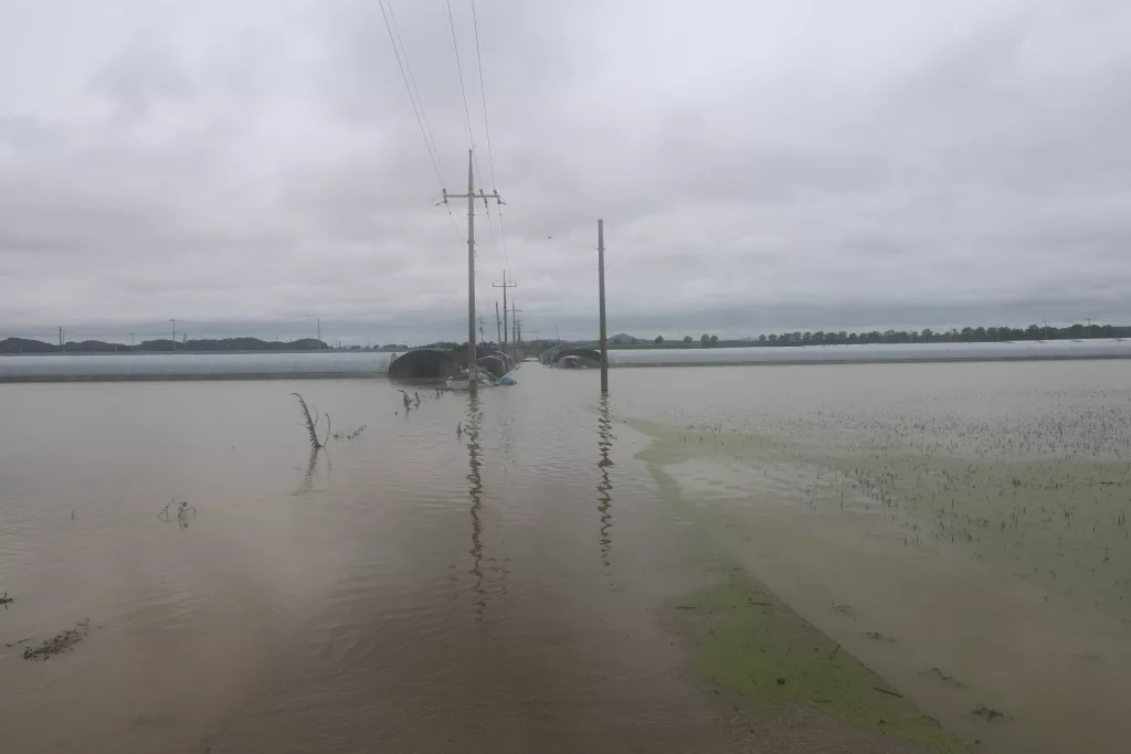 Flooding after days of heavy rain in South Korea
