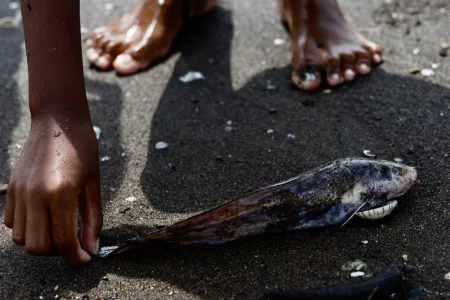 Fishing Banned in Filipino Town after Sunken Oil Tanker Pollutes Waters