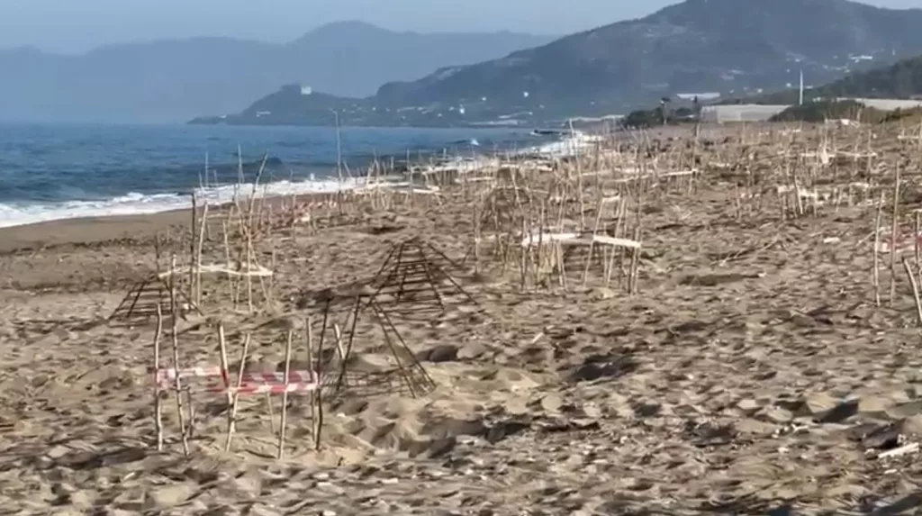 ALANYA'DA İLK YAVRU CARETTA CARETTALAR DENİZLE BULUŞTU