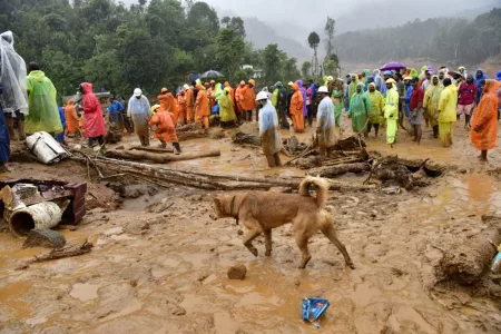 Death Toll from Landslides in India Jums to 150