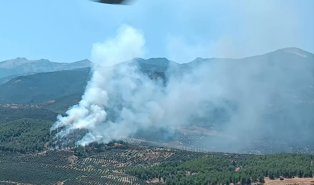 HATAY'DA ORMAN YANGINI