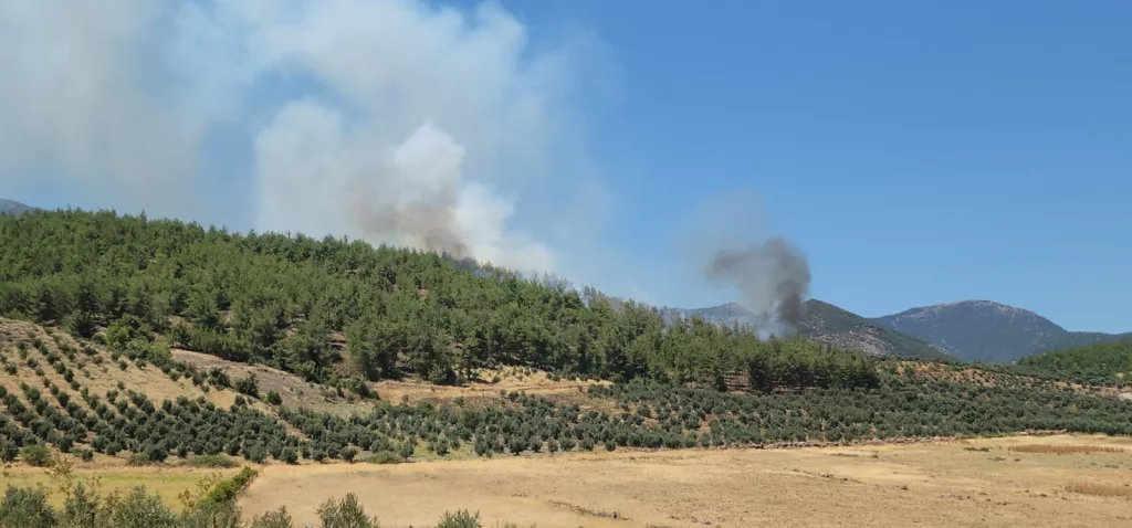 HATAY'DA ORMAN YANGINI