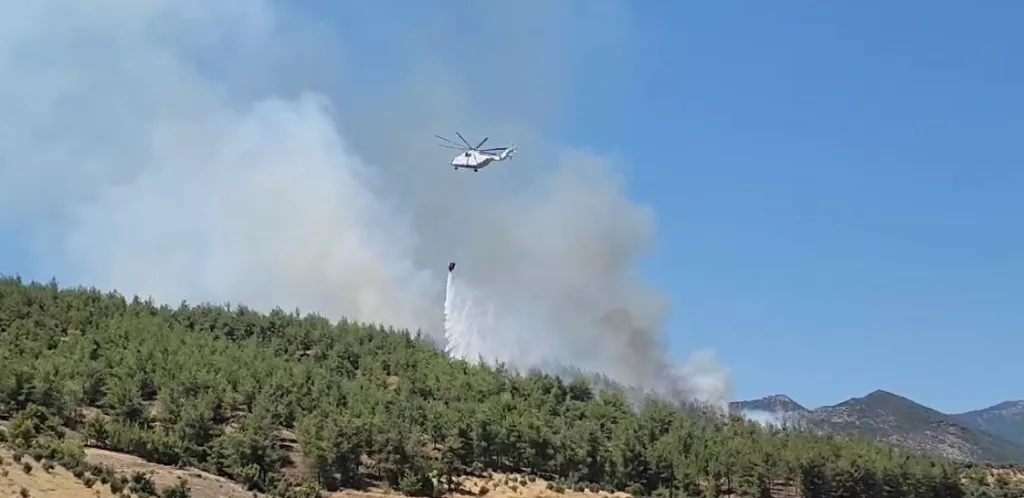 HATAY'DA ORMAN YANGINI