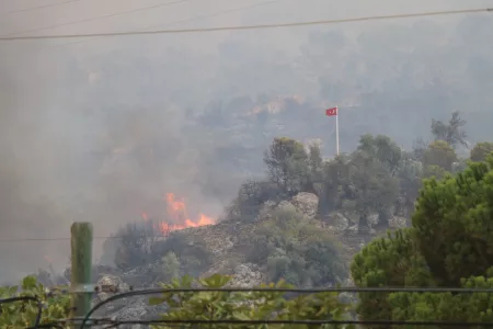 Firefighters Save Turkish Flag from Forest Fire in Aydın