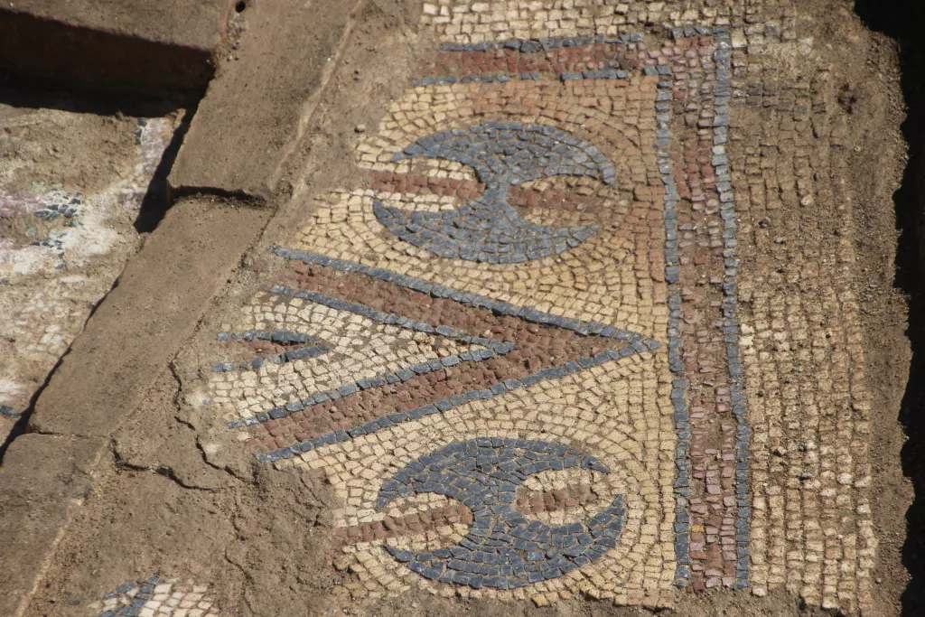 ORDU'DAKİ KAZI ÇALIŞMALARINDA TARİH FIŞKIRIYOR FATSA İLÇESİNDEKİ AZİZ KONSTANTİN VE HELANA MANASTIRI İÇERİSİNDE BULUNAN ZEMİN MOZAİĞİ, İLÇENİN TARİHİNE IŞIK TUTACAK ORDU KÜLTÜR VE TURİZM MÜDÜRÜ UĞUR TOPARLAK: "ESER TÜRKİYE'DE BÜYÜK YANKI UYANDIRDI, TURİST ROTALARI İÇİN ÖNEMLİ BİR KÜLTÜR VARLIĞINI GÜN YÜZÜNE ÇIKARDIK"