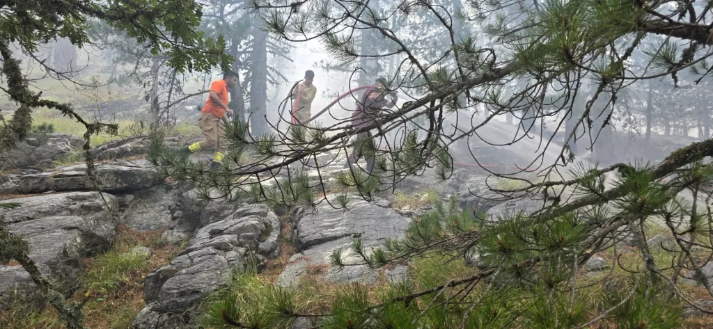KAZDAĞLARI'NDA YANGINA HAVADAN MÜDAHALE SÜRÜYOR