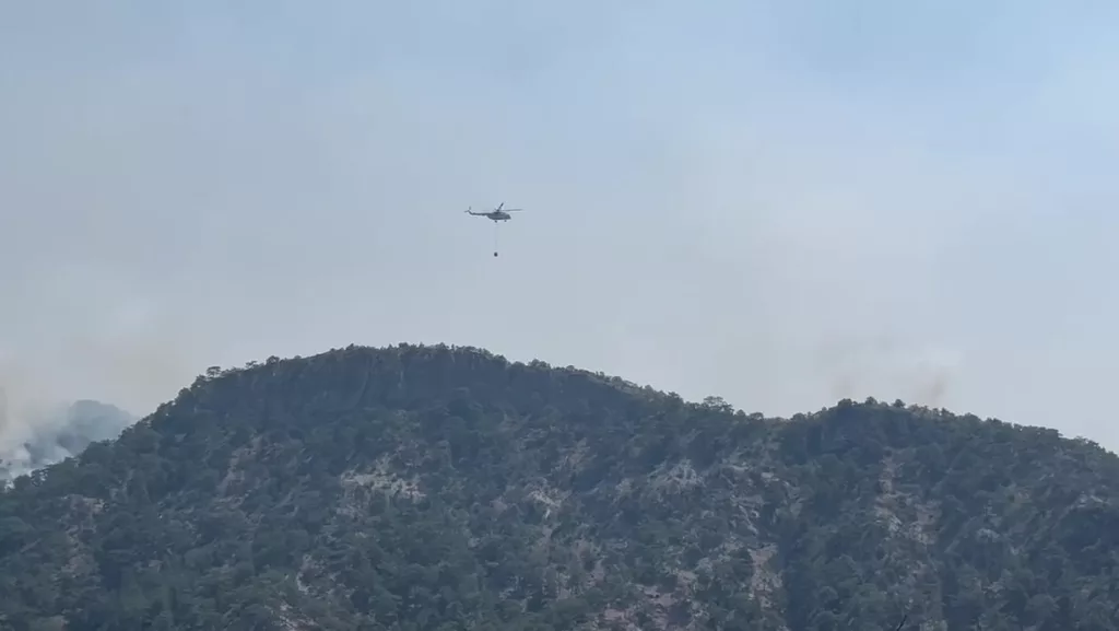 BOLU'DAKİ ORMAN YANGINI 3'NCÜ GÜNÜNDE GÖZALTINA ALINAN 4 KİŞİ ARAZİ SAHİPLERİ