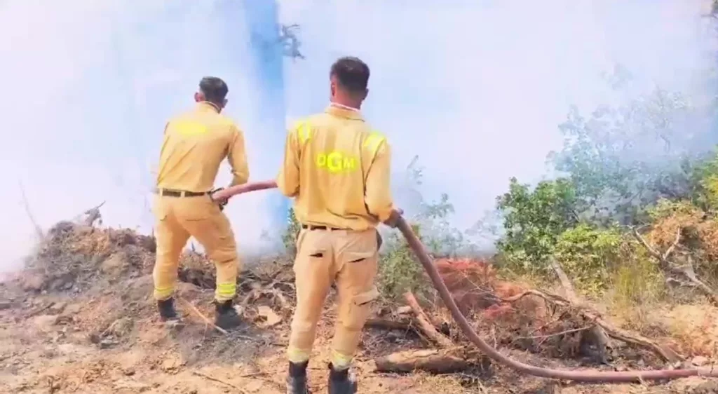 BOLU'DAKİ ORMAN YANGINI 3'NCÜ GÜNÜNDE GÖZALTINA ALINAN 4 KİŞİ ARAZİ SAHİPLERİ