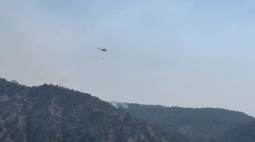 BOLU'DAKİ ORMAN YANGINI 3'NCÜ GÜNÜNDE GÖZALTINA ALINAN 4 KİŞİ ARAZİ SAHİPLERİ