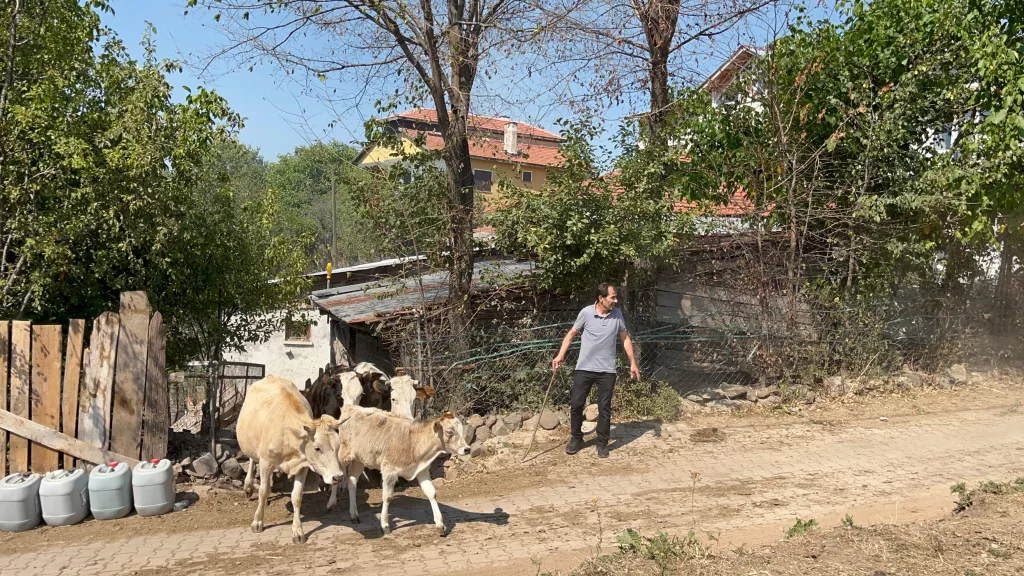 ALEVLENEN YANGINDAN HAYVANLARINI BÖYLE KAÇIRDI