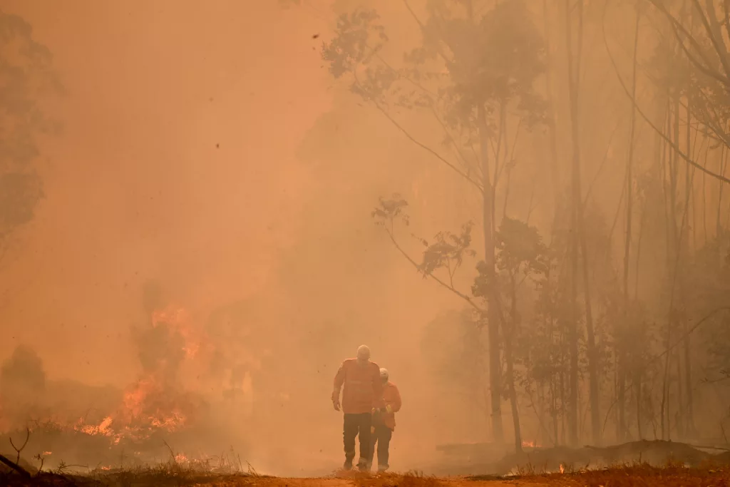 Forest fire consumes 20 percent of the largest natural park in Brasília