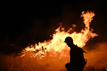 Fire at Brazilian Forest Brought Under Control
