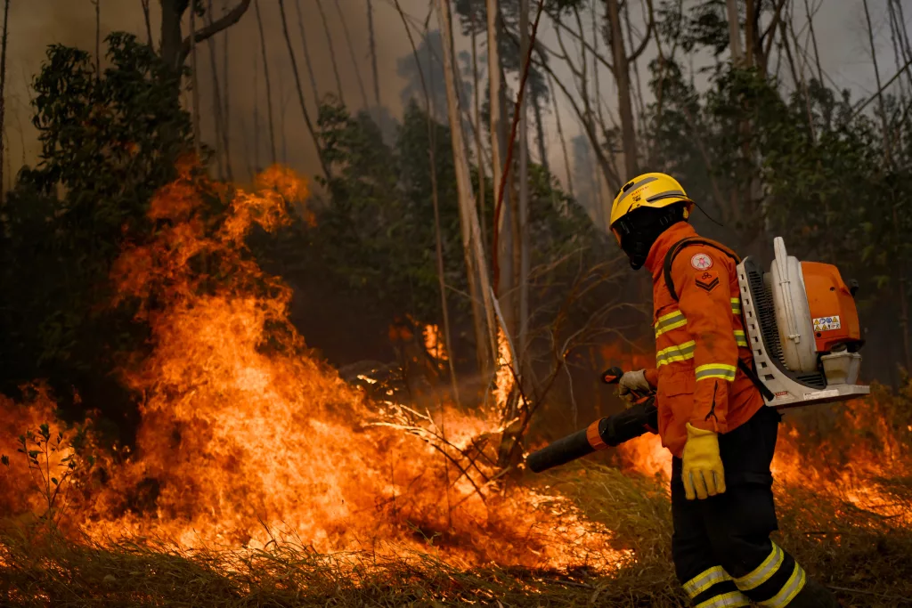 Forest fire consumes 20 percent of the largest natural park in Brasília