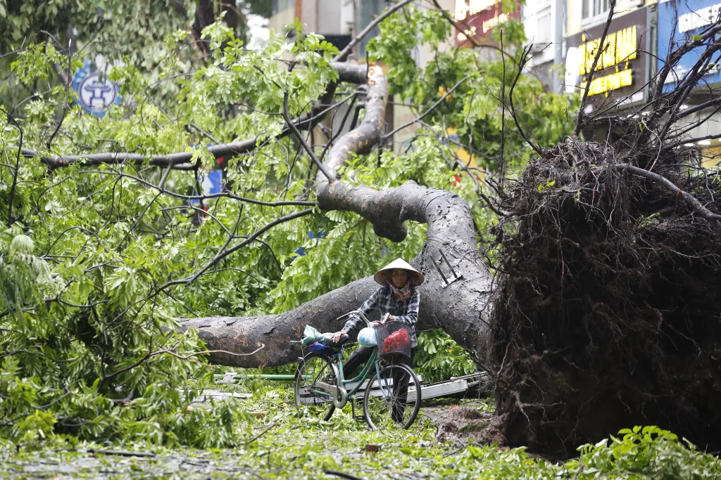 Four dead and dozens injured after typhoon Yagi makes landfall in Vietnam