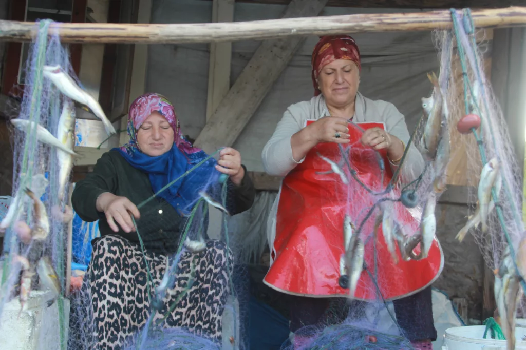 KADIN BALIKÇILARIN KARADENİZ'İN SULARINDA 'EKMEK' MÜCADELESİ ORDU'DA KADIN BALIKÇILAR, EŞLERİYLE BİRLİKTE BALIK AVINA ÇIKARAK AĞ SERİYOR, AĞ TOPLUYOR, BALIKÇI TEKNESİNİ KULLANIYOR VE İSTİF YAPABİLİYOR