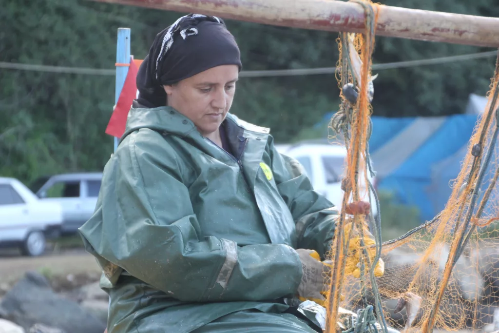 KADIN BALIKÇILARIN KARADENİZ'İN SULARINDA 'EKMEK' MÜCADELESİ ORDU'DA KADIN BALIKÇILAR, EŞLERİYLE BİRLİKTE BALIK AVINA ÇIKARAK AĞ SERİYOR, AĞ TOPLUYOR, BALIKÇI TEKNESİNİ KULLANIYOR VE İSTİF YAPABİLİYOR