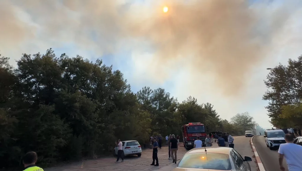 ÜNİVERSİTE KAMPÜSÜNDE ORMAN YANGINI