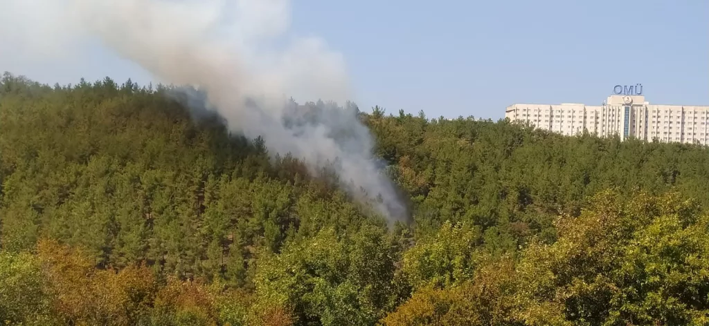 ÜNİVERSİTE KAMPÜSÜNDE ORMAN YANGINI