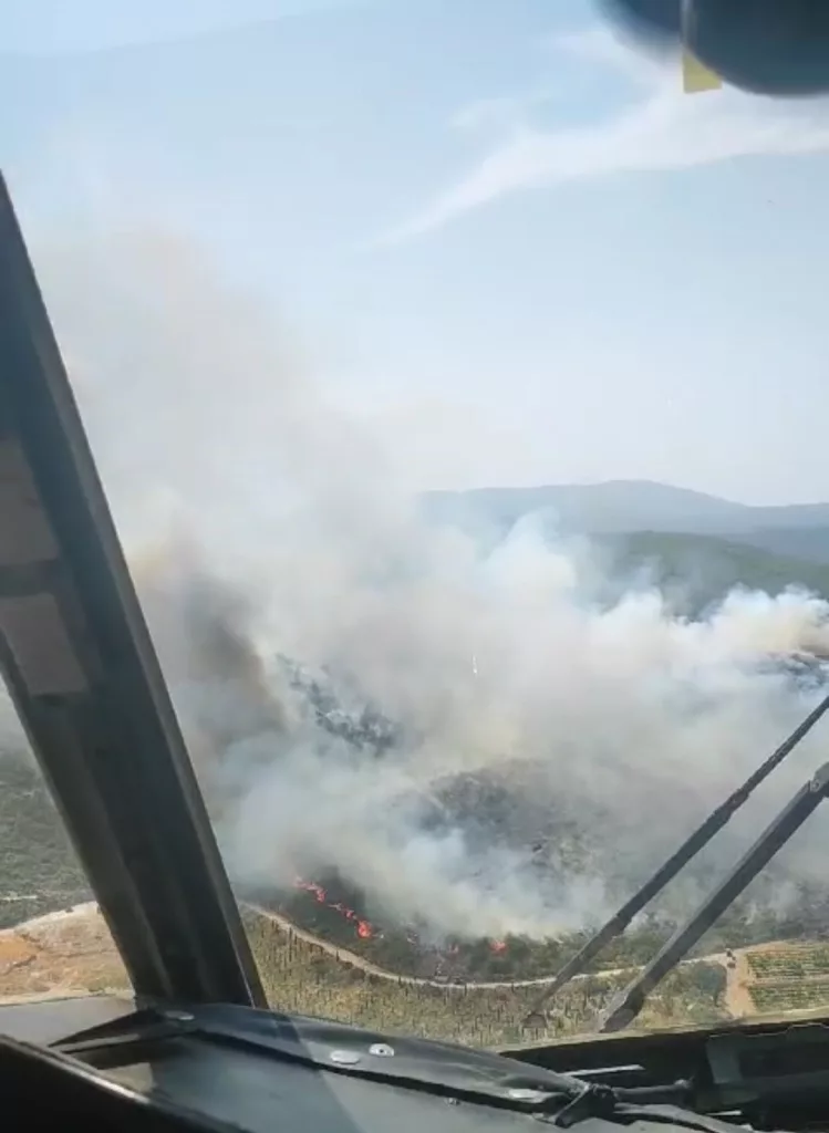 URLA'DA ORMAN YANGINI