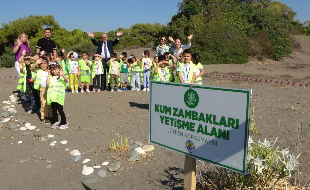 SAHİLLER KUM ZAMBAKLARIYLA DOLDU, ÇOCUKLAR KORUMA ALTINA ALDI MERSİN'DE NESLİ TÜKENME TEHLİKESİ ALTINDAKİ VE KOPARMANIN CEZASININ  387 BİN TL OLAN KUM ZAMBAKLARI SAHİLLERİ SÜSLEDİ KUM ZAMBAKLARI İLE İLGİLİ ÇALIŞMA YAPAN DOĞA MÜFETTİŞLERİ , UYARI LEVHALARI DİKEREK, ÇEVRESİNİ KORUMA ALTINA ALDI
