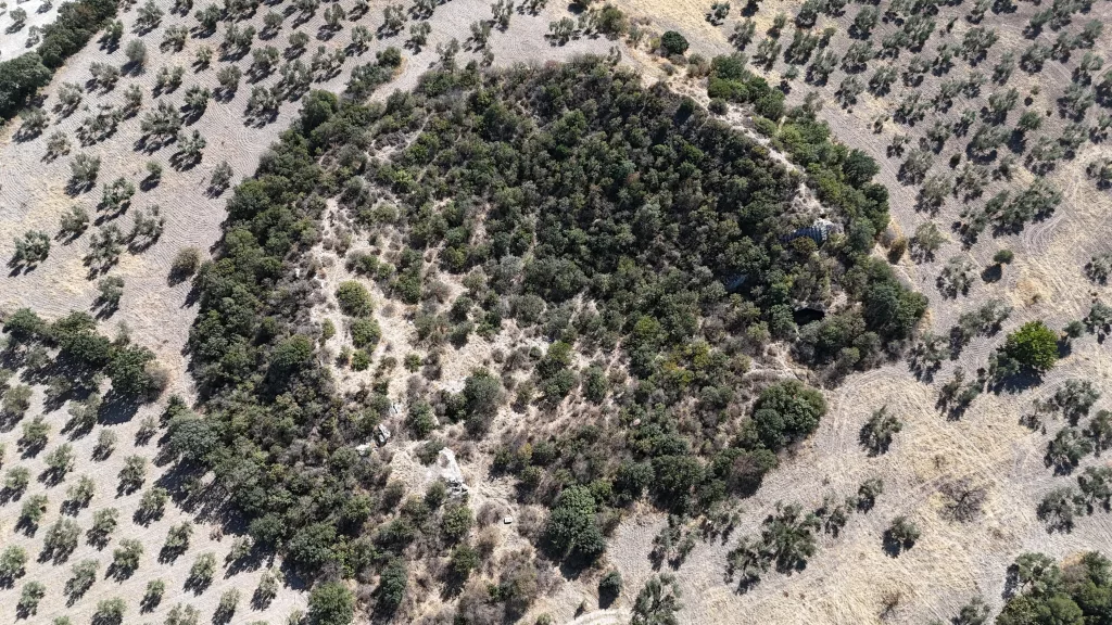 (ÖZEL) 2 BİN 400 YILLIK TİYATRO ALEXANDRİA TROAS ANTİK KENTİ'NİN 12 BİN KİŞİLİK TİYATROSU GÜN YÜZÜNE ÇIKARILMAYI BEKLİYOR