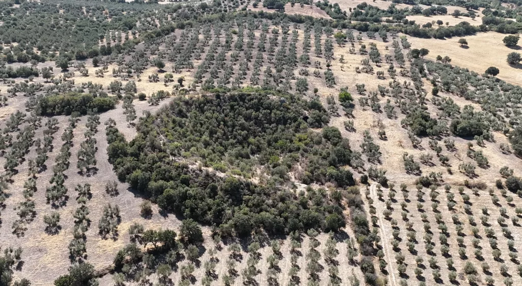 (ÖZEL) 2 BİN 400 YILLIK TİYATRO ALEXANDRİA TROAS ANTİK KENTİ'NİN 12 BİN KİŞİLİK TİYATROSU GÜN YÜZÜNE ÇIKARILMAYI BEKLİYOR