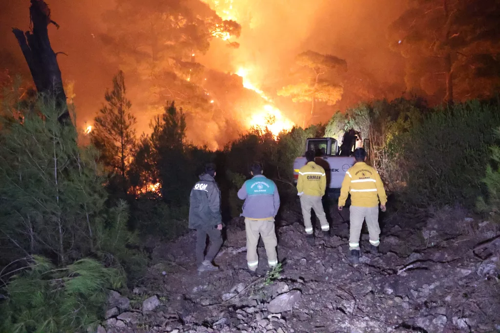 MUĞLA'DAKİ ORMAN YANGININDA ALEVLER GECEYİ AYDINLATTI