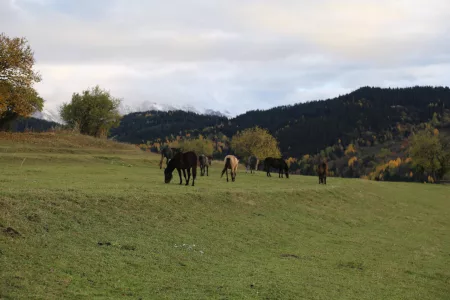 Autumn Splendor in Türkiye’s Şavşat