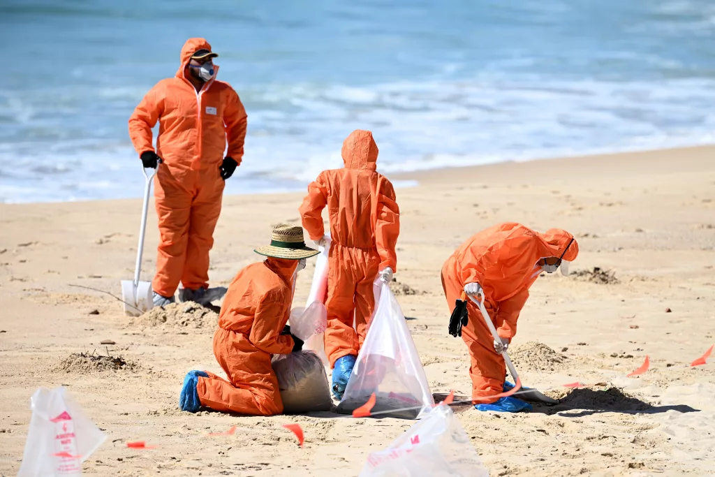 Thousands of black 'tar balls' wash ashore on Coogee Beach