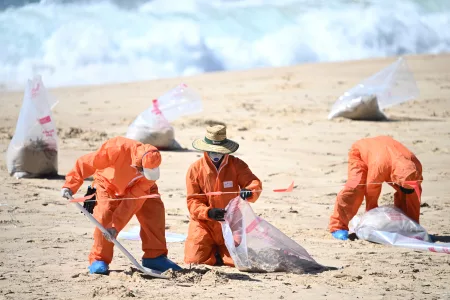 Black Objects on Sydney Beaches Causes Panic in Australia