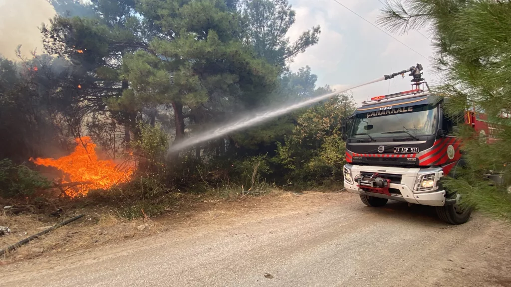 ÇANAKKALE'DE ORMAN YANGINI