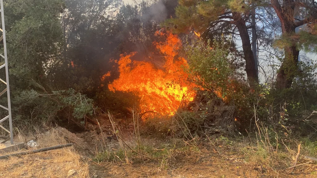 ÇANAKKALE'DE ORMAN YANGINI