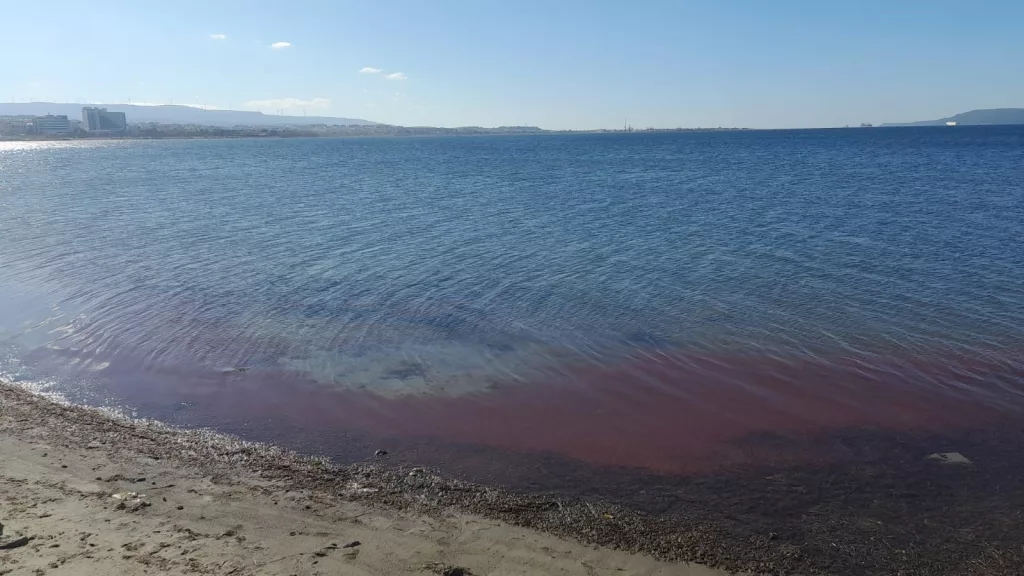 ÇANAKKALE'DE SAHİL KIRMIZIYA BOYANDI