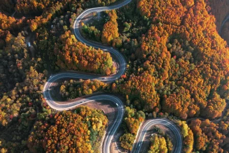 Autumn Colors Paint Türkiye’s Domaniç Mountains