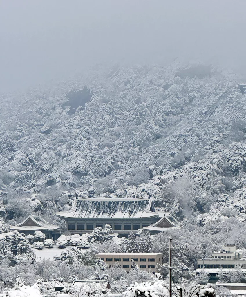 Heavy snow in Seoul