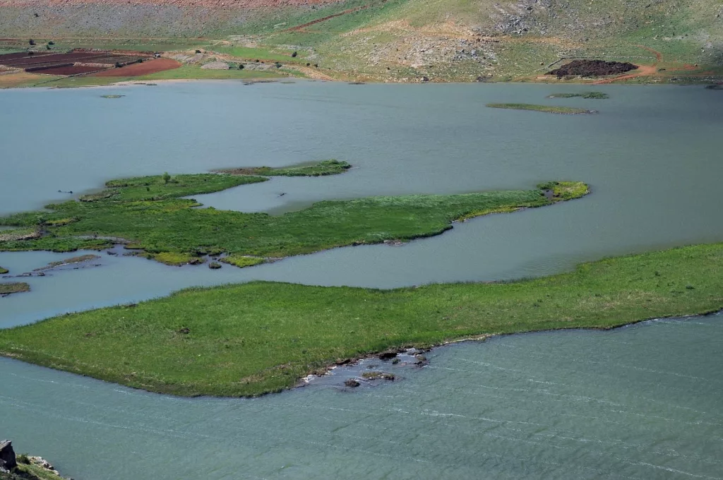 ADIYAMAN'DA YÜZEN ADALARIN KURTARILMASI İÇİN ÇALIŞMA BAŞLATILDI ATMOSFERİN KORUYUCUSU YÜZEN ADALAR,  BARAJ ORTASINA SABİTLENECEK