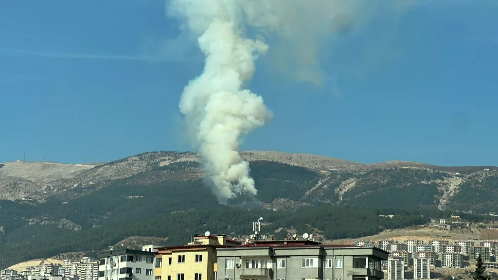 KAHRAMANMARAŞ'TA ORMAN YANGINI