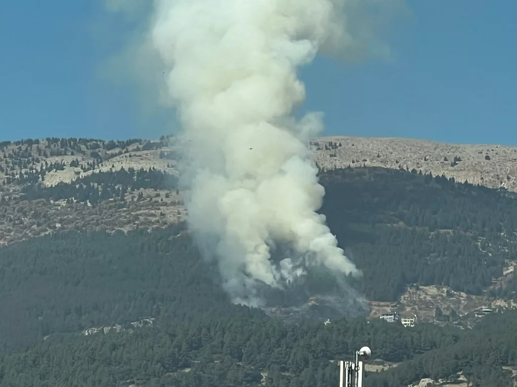 KAHRAMANMARAŞ'TA ORMAN YANGINI