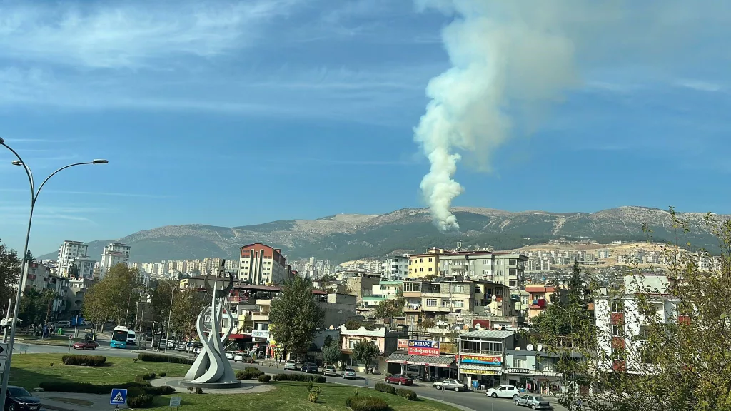 KAHRAMANMARAŞ'TA ORMAN YANGINI