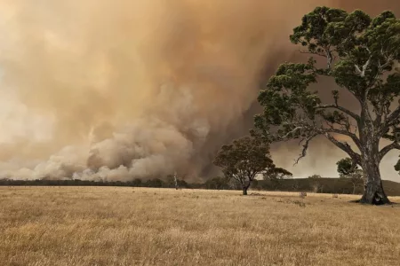 Bushfire Turns 70,000 Hectares to Ashes in Australia