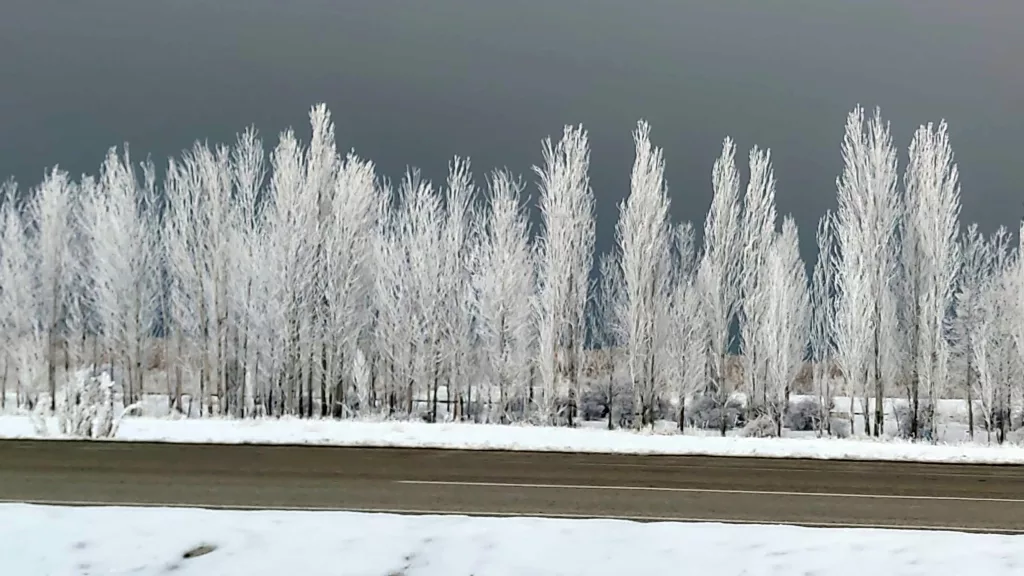 VAN'DA KIRAĞI VE SİS KARTPOSTALLIK GÖRÜNTÜLER OLUŞTURDU