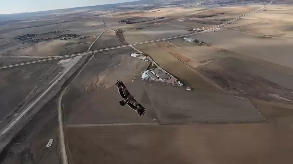 ÇEKİM YAPAN DRON ŞAHİNİN RADARINA TAKILDI