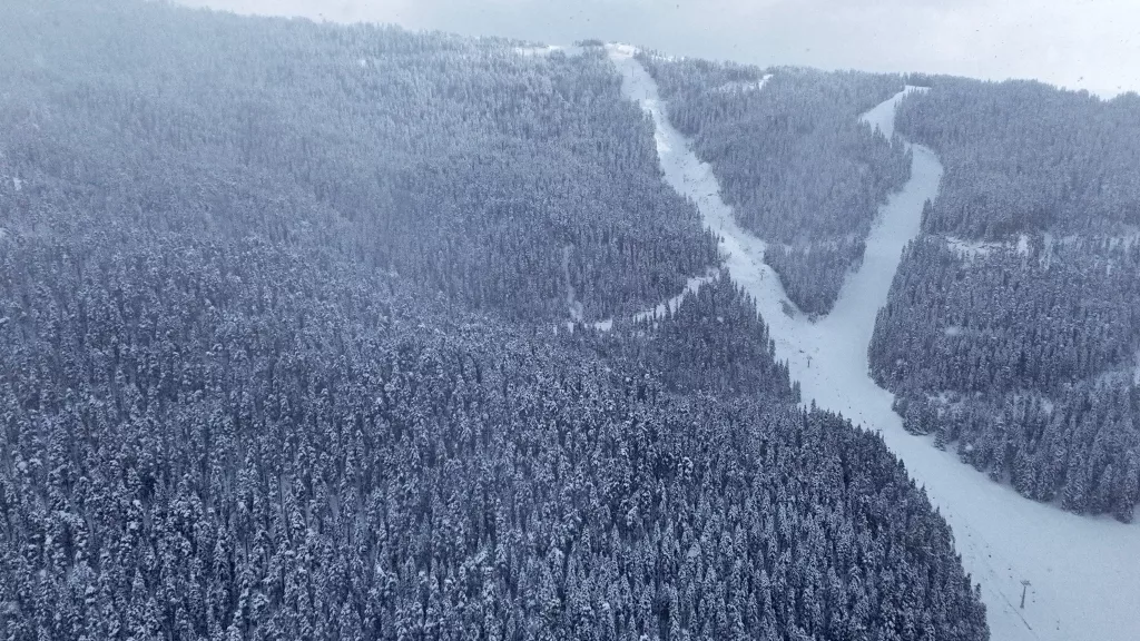 KARLAR ALTINDAKİ ILGAZ ORMANLARI HAVADAN GÖRÜNTÜLENDİ