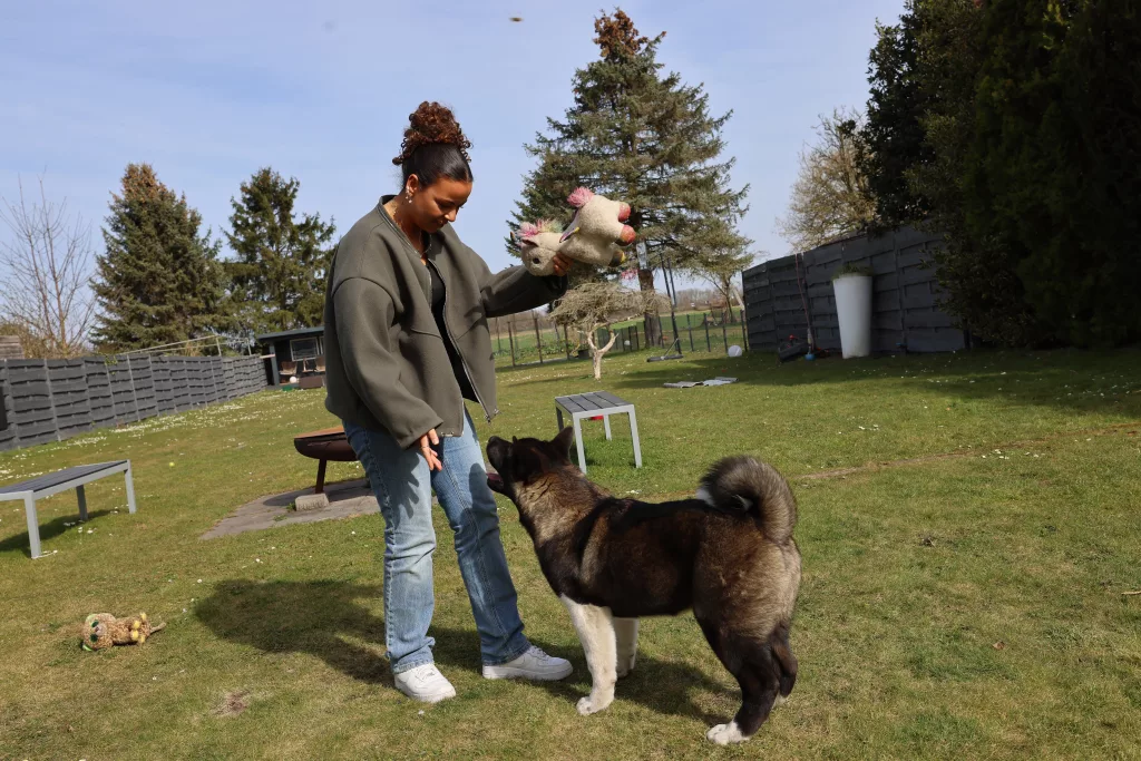 ALMANYA'DA KÖPEK VERGİLERİ 2025 YILINDA ARTTI