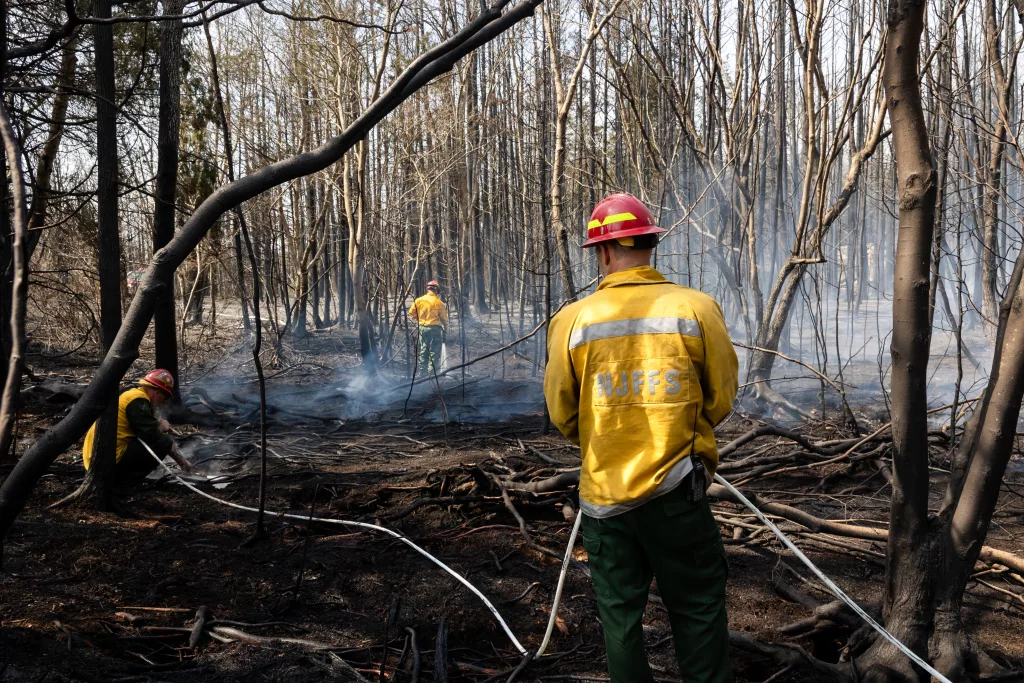 Wildfire in southern New Jersey
