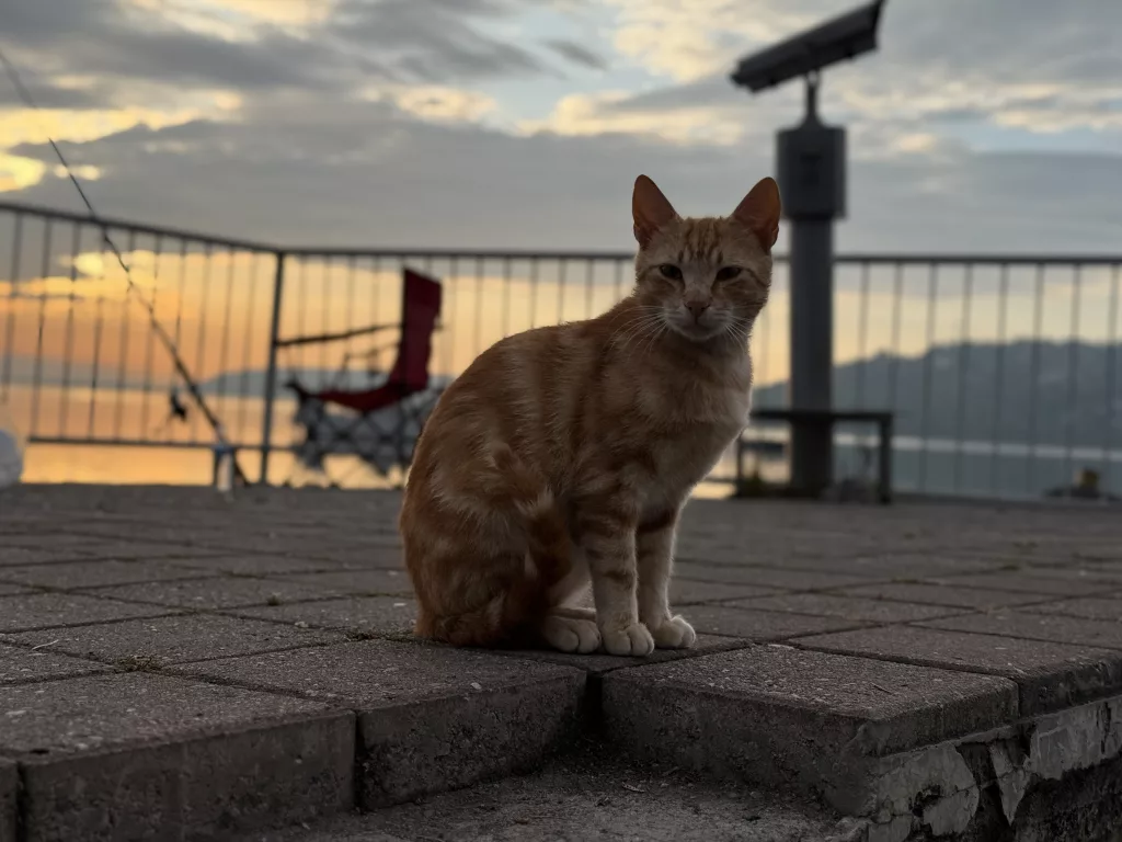 GÜN DOĞUMU VE GÜNEŞİN GÖLE YANSITTIĞI YAKAMOZ MEST ETTİ