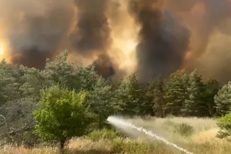 Forest Fire Destroys 600 Hectares in Germany